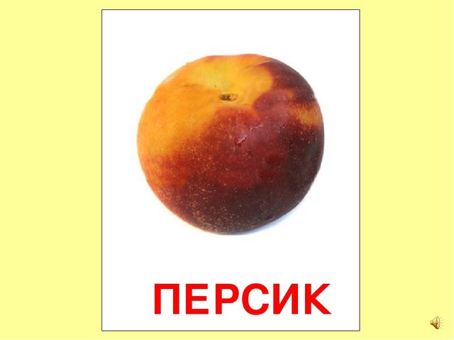 Презентация на тему Большая энциклопедия Знайки"