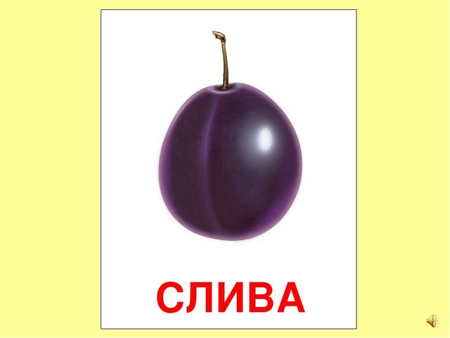 Презентация на тему Большая энциклопедия Знайки"