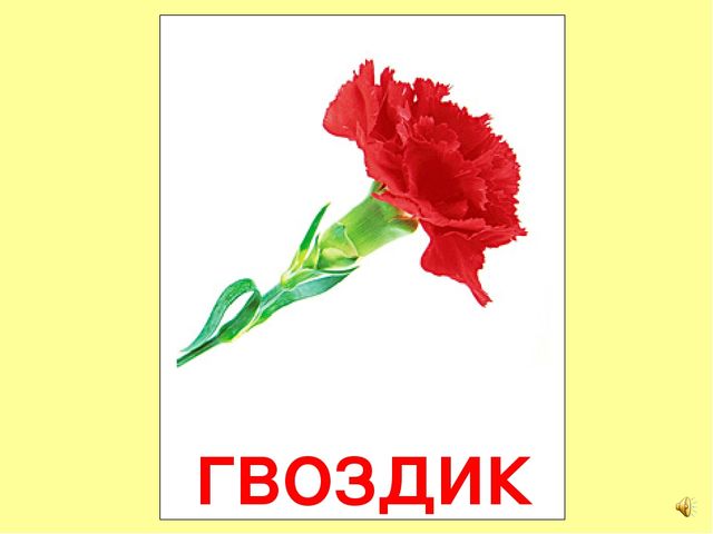Презентация на тему Большая энциклопедия Знайки"