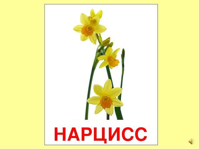 Презентация на тему Большая энциклопедия Знайки"