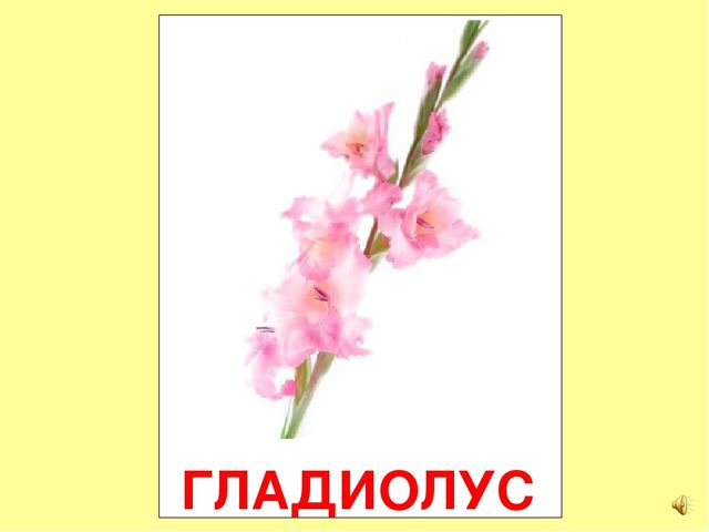 Презентация на тему Большая энциклопедия Знайки"