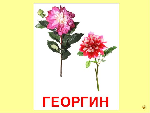 Презентация на тему Большая энциклопедия Знайки"