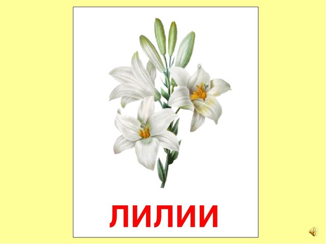 Презентация на тему Большая энциклопедия Знайки"
