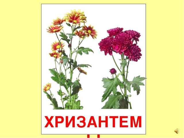 Презентация на тему Большая энциклопедия Знайки"
