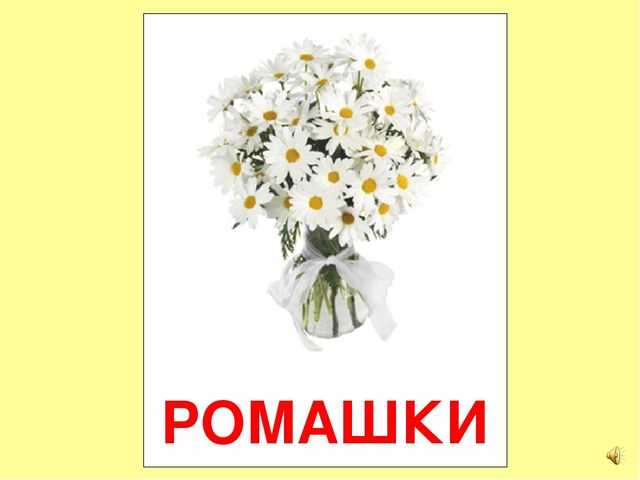 Презентация на тему Большая энциклопедия Знайки"