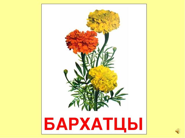 Презентация на тему Большая энциклопедия Знайки"