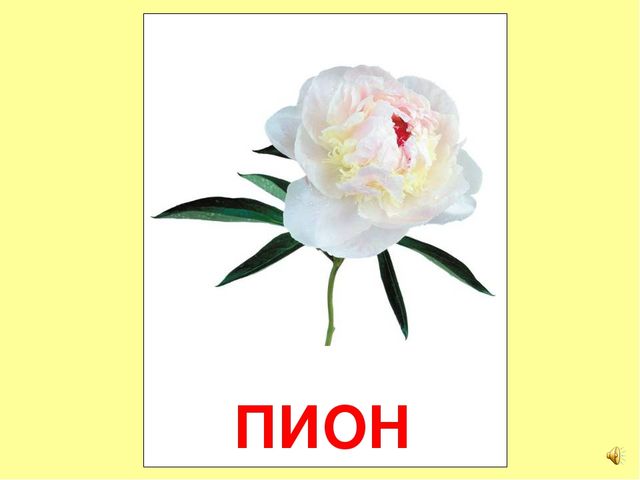 Презентация на тему Большая энциклопедия Знайки"