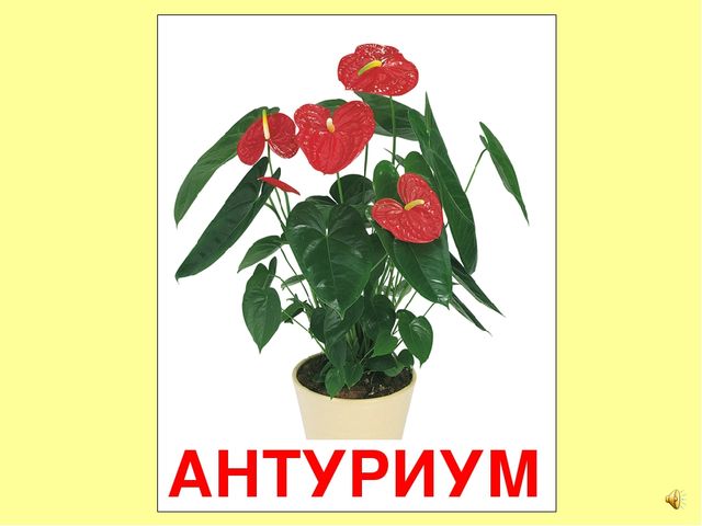 Презентация на тему Большая энциклопедия Знайки"