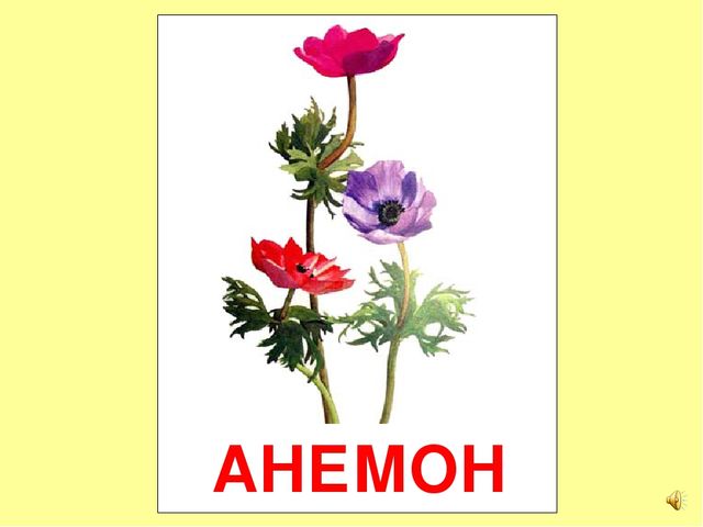 Презентация на тему Большая энциклопедия Знайки"
