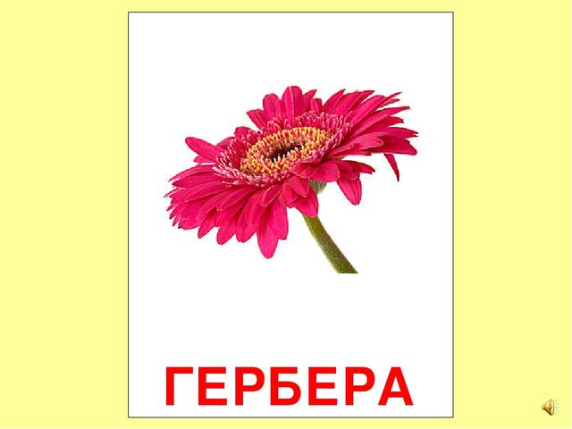 Презентация на тему Большая энциклопедия Знайки"