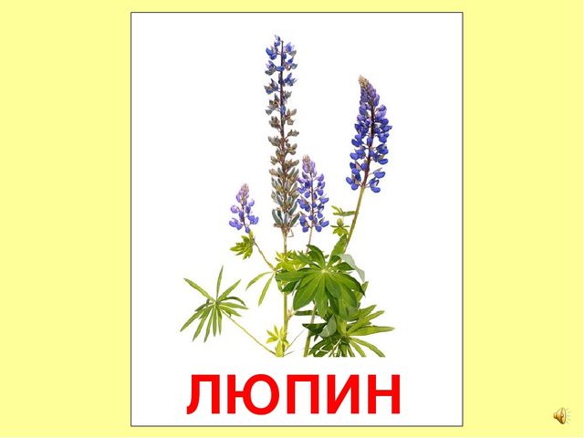 Презентация на тему Большая энциклопедия Знайки"