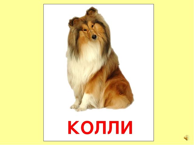 Презентация на тему Большая энциклопедия Знайки"