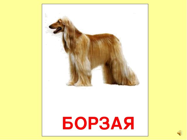 Презентация на тему Большая энциклопедия Знайки"