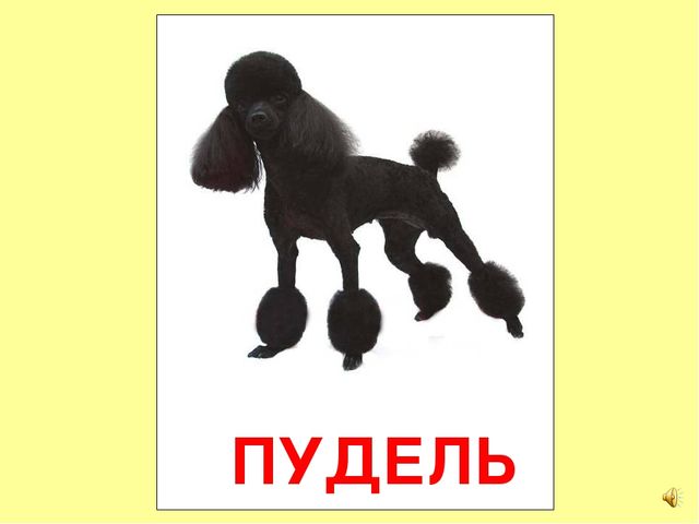 Презентация на тему Большая энциклопедия Знайки"