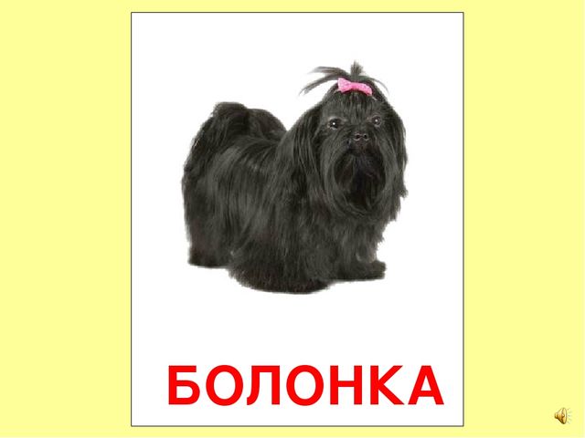 Презентация на тему Большая энциклопедия Знайки"