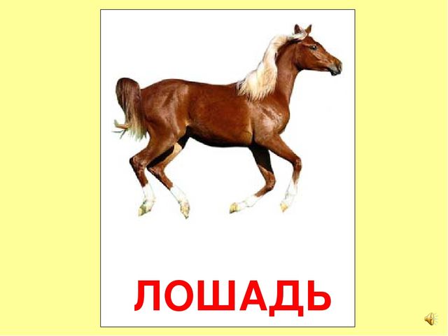 Презентация на тему Большая энциклопедия Знайки"