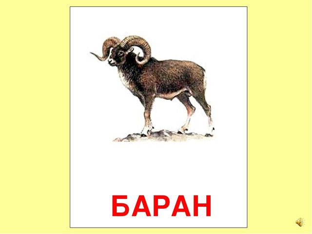 Презентация на тему Большая энциклопедия Знайки"