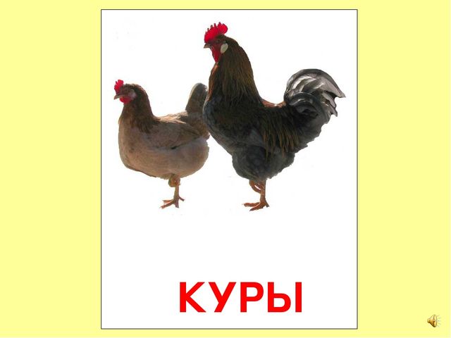 Презентация на тему Большая энциклопедия Знайки"