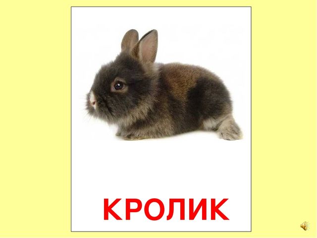 Презентация на тему Большая энциклопедия Знайки"