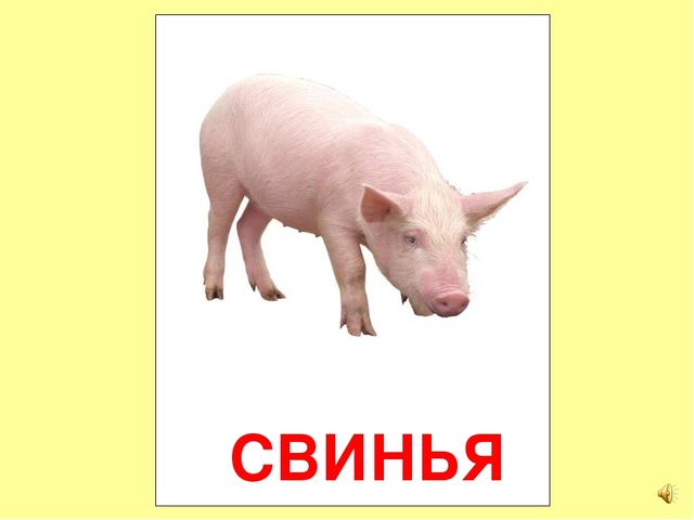 Презентация на тему Большая энциклопедия Знайки"