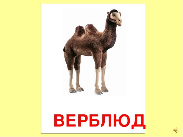 Презентация на тему Большая энциклопедия Знайки"