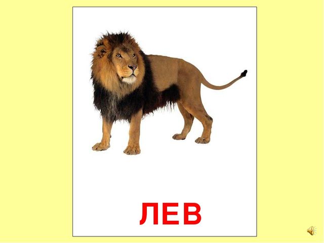 Презентация на тему Большая энциклопедия Знайки"