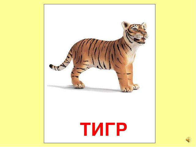 Презентация на тему Большая энциклопедия Знайки"