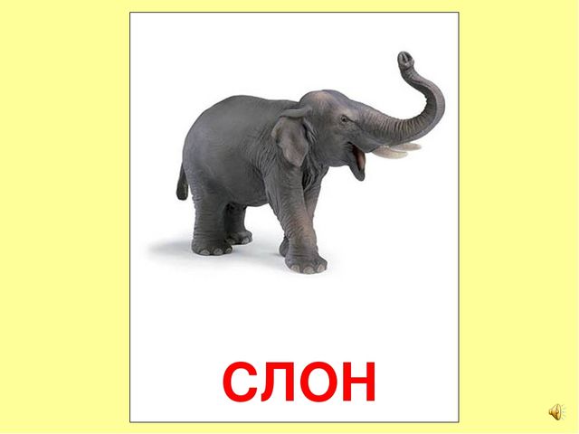 Презентация на тему Большая энциклопедия Знайки"