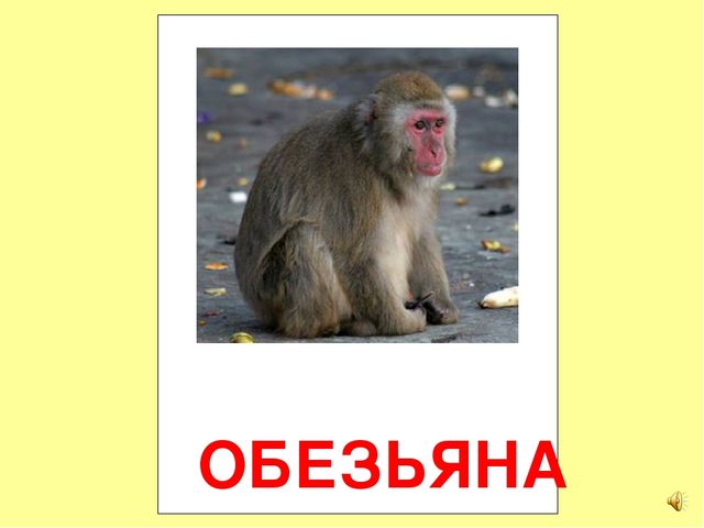 Презентация на тему Большая энциклопедия Знайки"