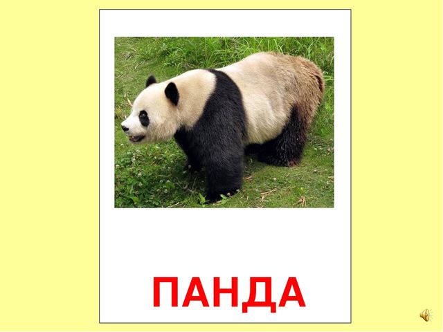 Презентация на тему Большая энциклопедия Знайки"