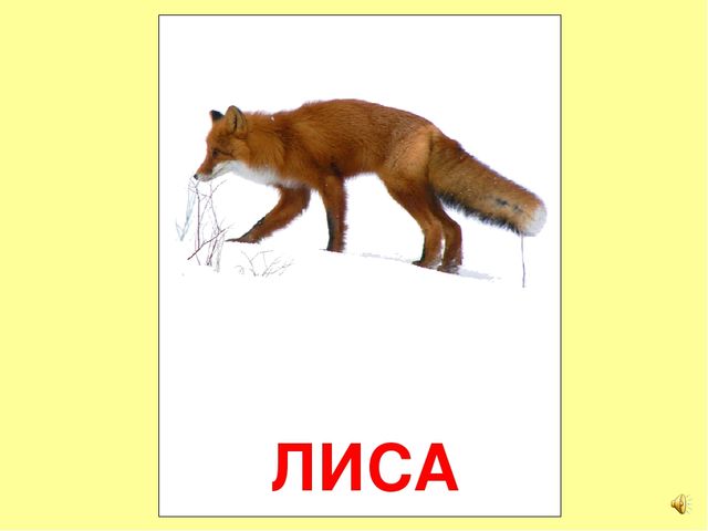 Презентация на тему Большая энциклопедия Знайки"