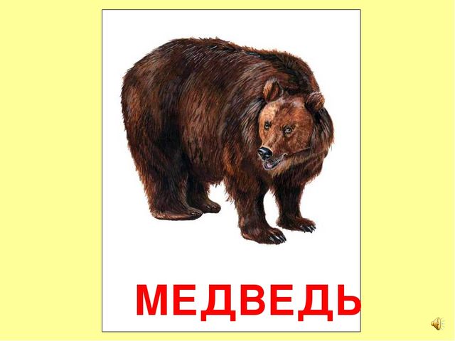 Презентация на тему Большая энциклопедия Знайки"