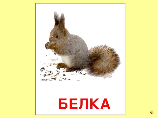 Презентация на тему Большая энциклопедия Знайки"