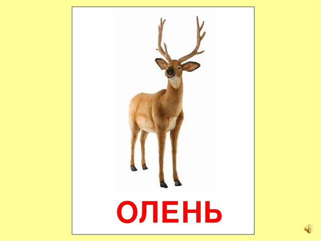 Презентация на тему Большая энциклопедия Знайки"