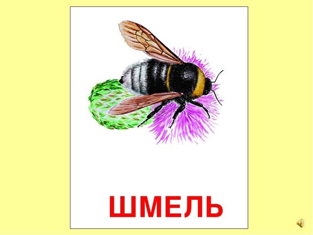 Презентация на тему Большая энциклопедия Знайки"