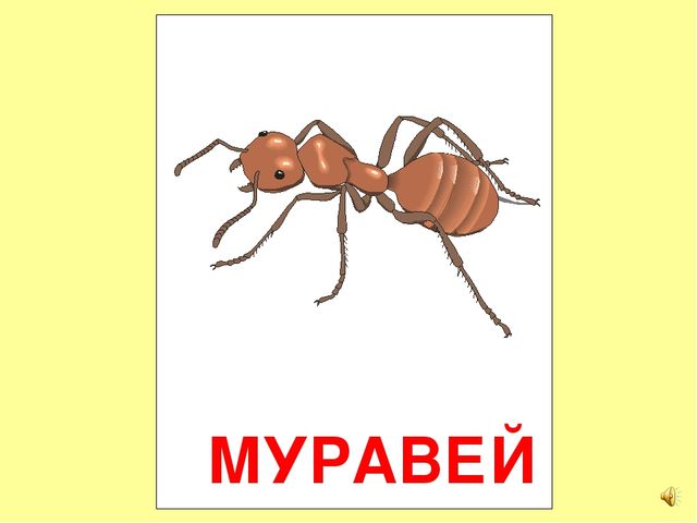 Презентация на тему Большая энциклопедия Знайки"