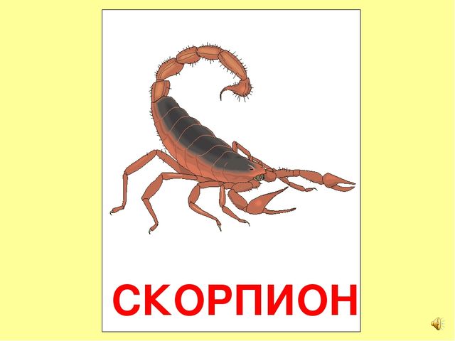 Презентация на тему Большая энциклопедия Знайки"