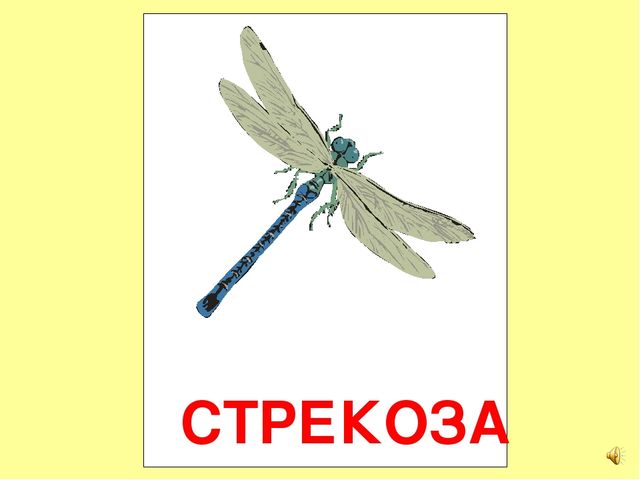 Презентация на тему Большая энциклопедия Знайки"