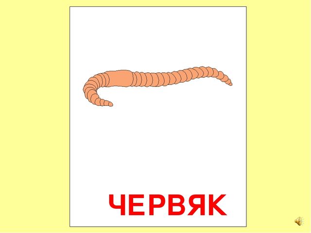 Презентация на тему Большая энциклопедия Знайки"
