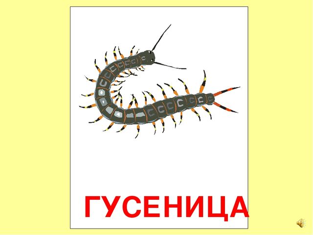 Презентация на тему Большая энциклопедия Знайки"