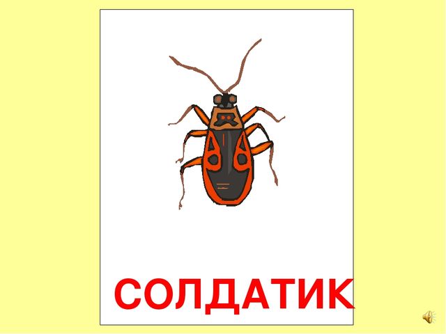 Презентация на тему Большая энциклопедия Знайки"