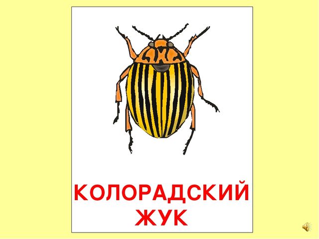 Презентация на тему Большая энциклопедия Знайки"