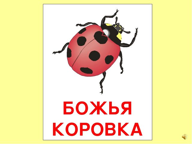 Презентация на тему Большая энциклопедия Знайки"