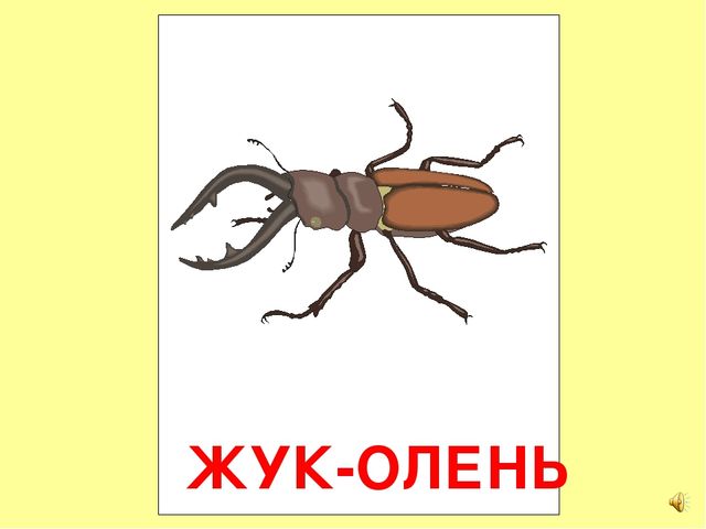 Презентация на тему Большая энциклопедия Знайки"