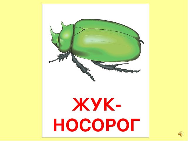 Презентация на тему Большая энциклопедия Знайки"