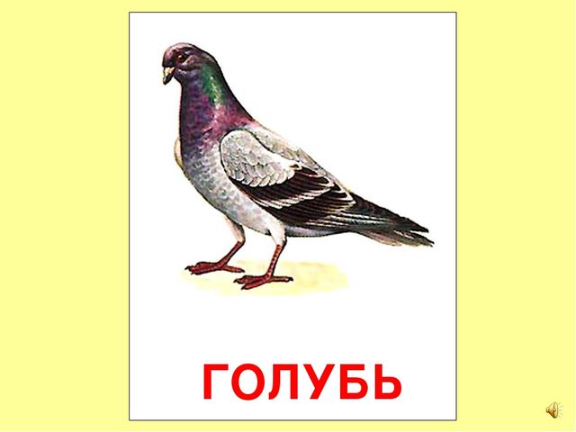 Презентация на тему Большая энциклопедия Знайки"