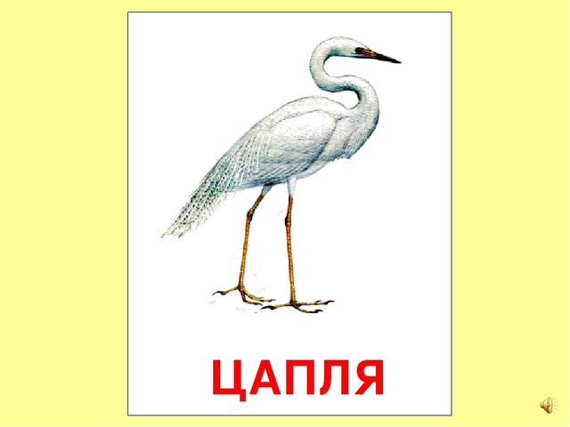 Презентация на тему Большая энциклопедия Знайки"