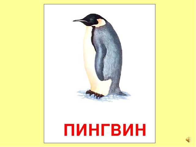 Презентация на тему Большая энциклопедия Знайки"