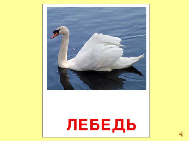 Презентация на тему Большая энциклопедия Знайки"