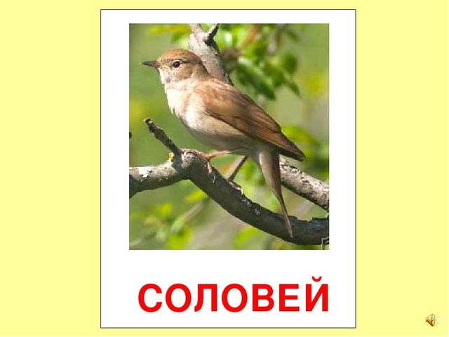 Презентация на тему Большая энциклопедия Знайки"